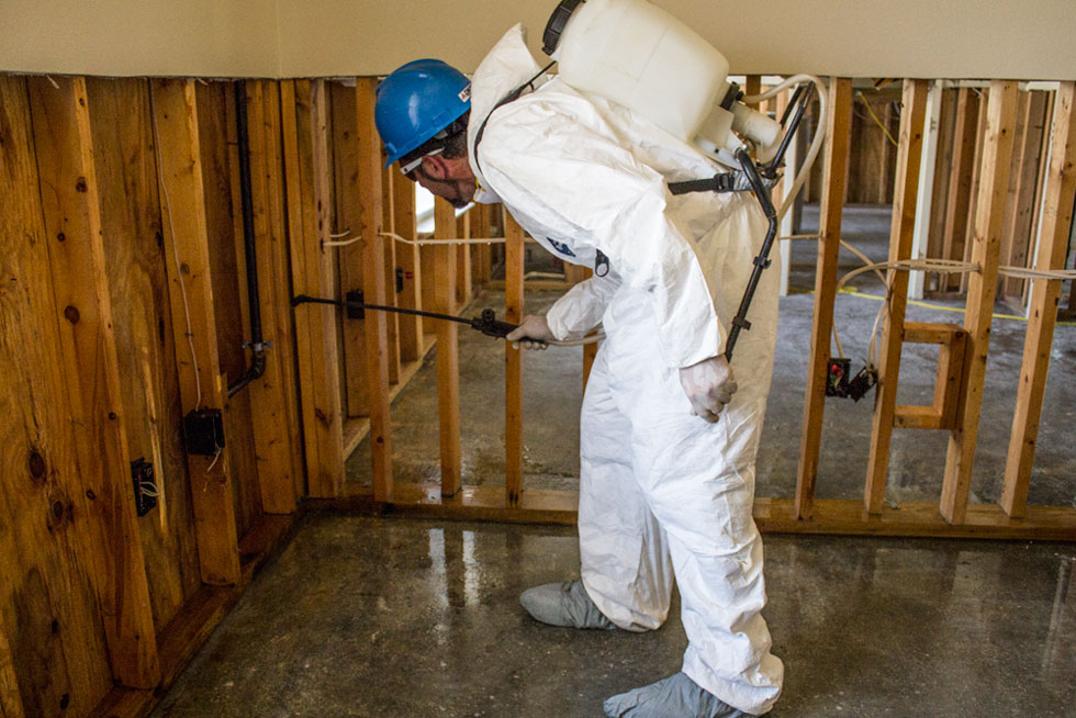 mold-remediation-environmental-services-synergynds